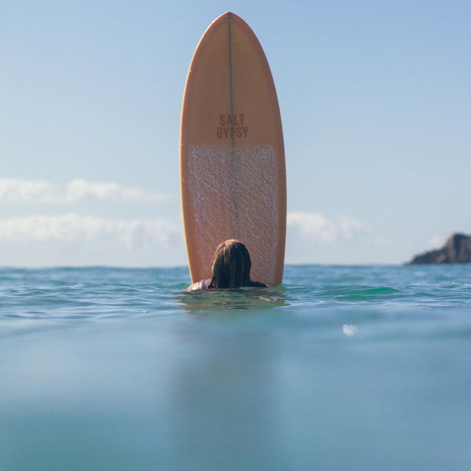 The Shorebird Twin Fin